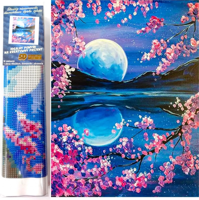Norimpex Peinture de diamants Lune montante 30x40cm
