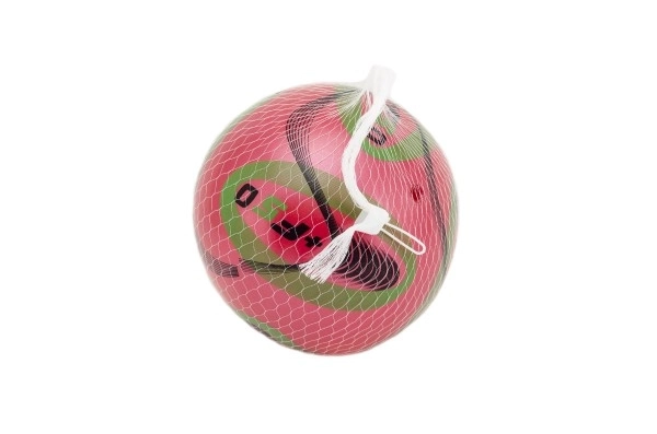 Balle colorée en plastique gonflée 15 cm en filet