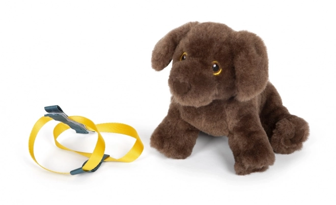 Petit chien en peluche avec set de soins