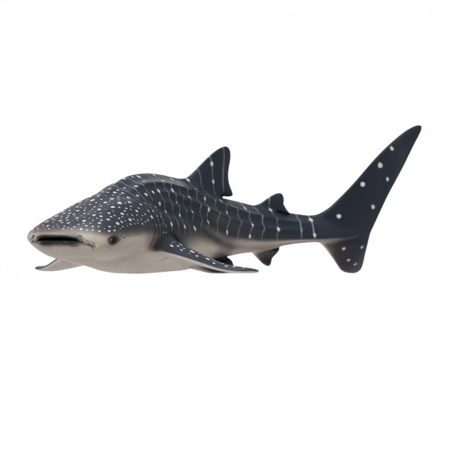 Mojo Requin baleine
