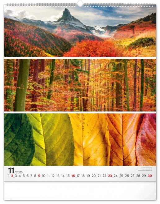NOTIQUE Calendrier mural Palette 2025, 48 x 56 cm
