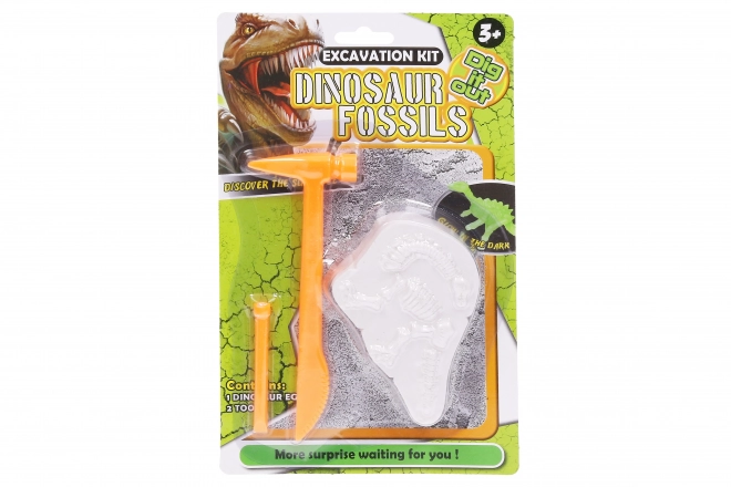 Fossile de dinosaure 11x7x2,5 cm