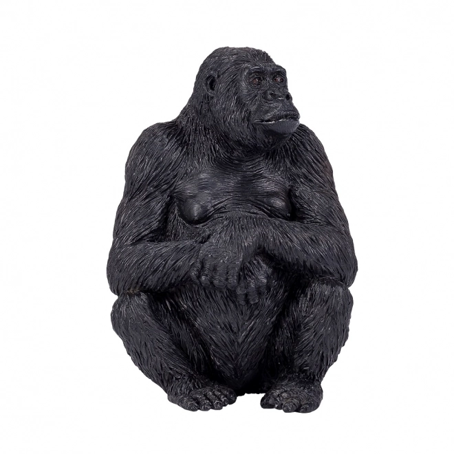 Mojo Gorille femelle