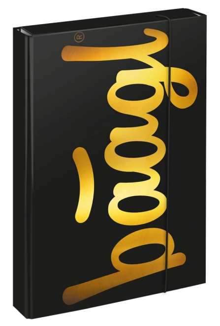 Dossiers pour cahiers scolaires A4 Jumbo Gold
