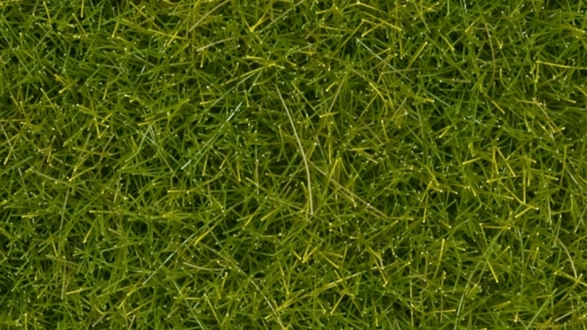Herbe statique Noch sauvage vert clair 12 mm