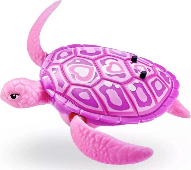 Robo vivant tortue