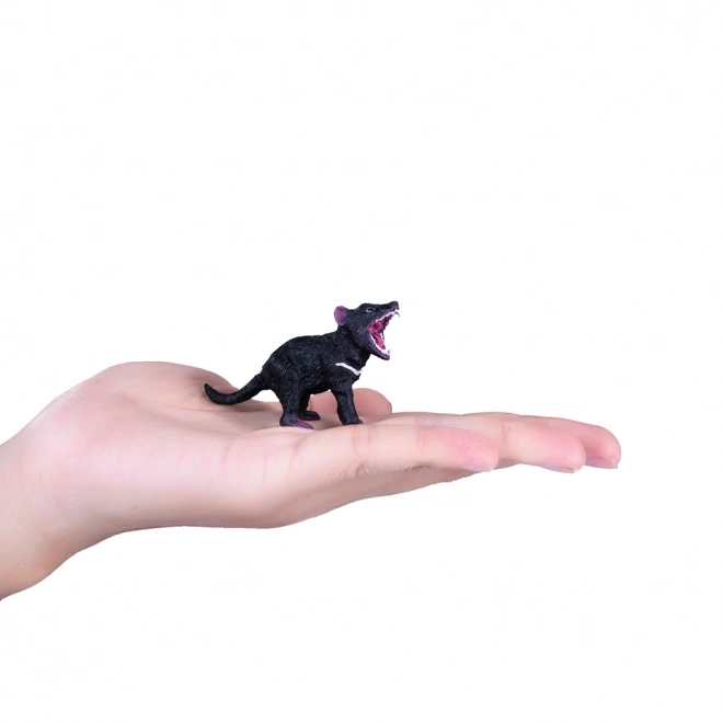 Mojo Diable de Tasmanie