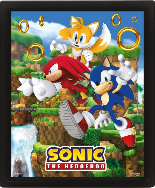 Tableau 3D SONIC – Catching Rings