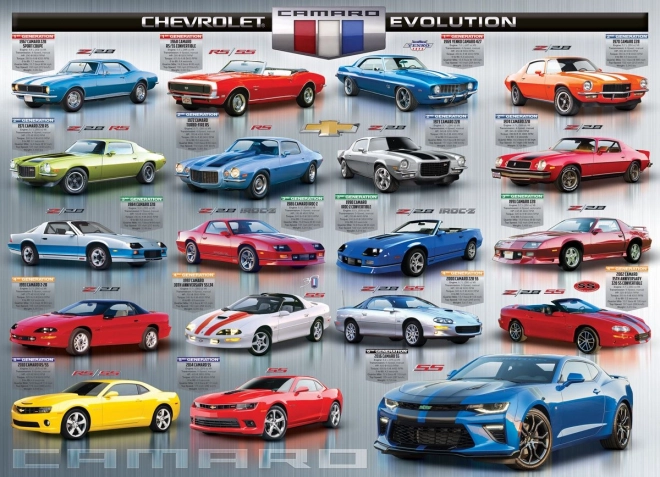 EUROGRAPHICS Puzzle Évolution des appareils photo 1000 pièces