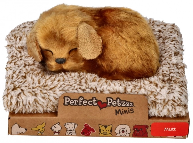 Petit chien Perfect Petzzz
