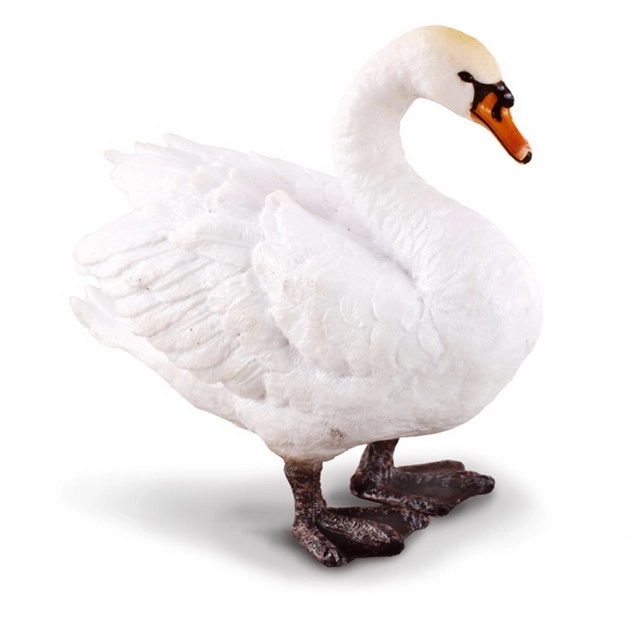 COLLECTA Cygne