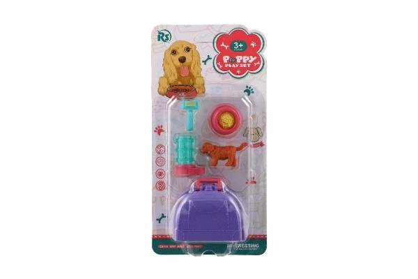 Petit chien avec boîte de transport et accessoires
