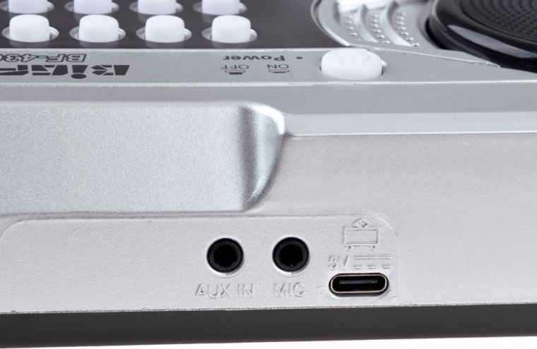 Chantez et jouez avec AUX IN et le microphone