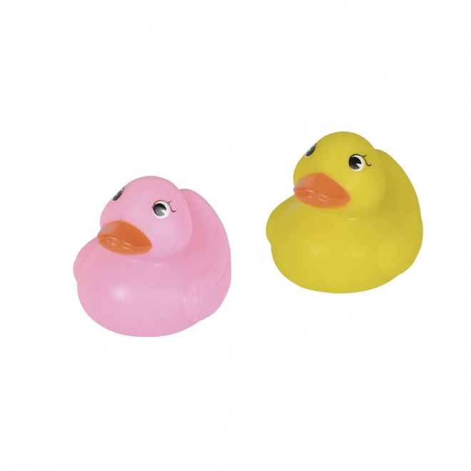 Canards pour l'eau dans un filet