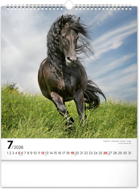 Calendrier mural Chevaux 2026