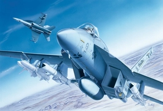 Modèle en plastique F/A-18E Super Hornet