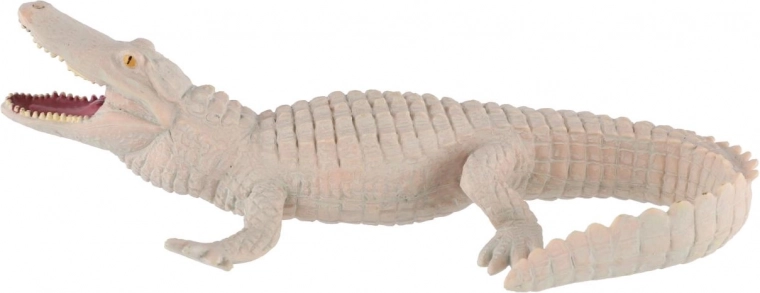 Plastique résistant pour un jeu quotidien