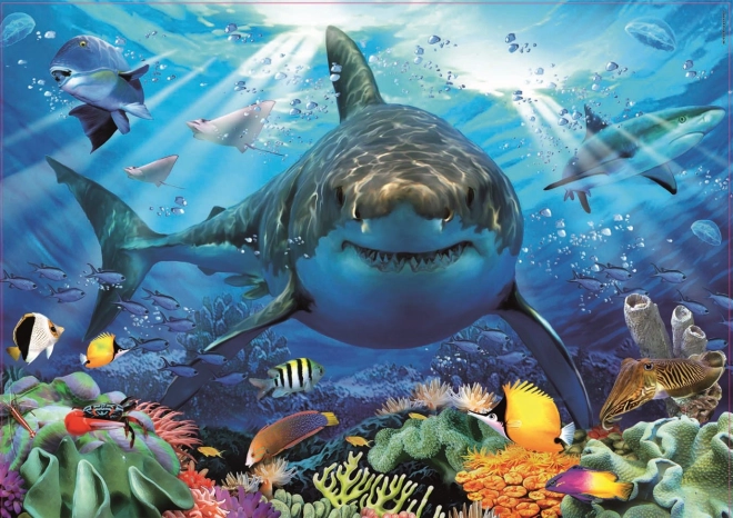Puzzle Requin Blanc 500 Pièces