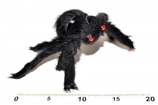 Araignée noire 30 cm