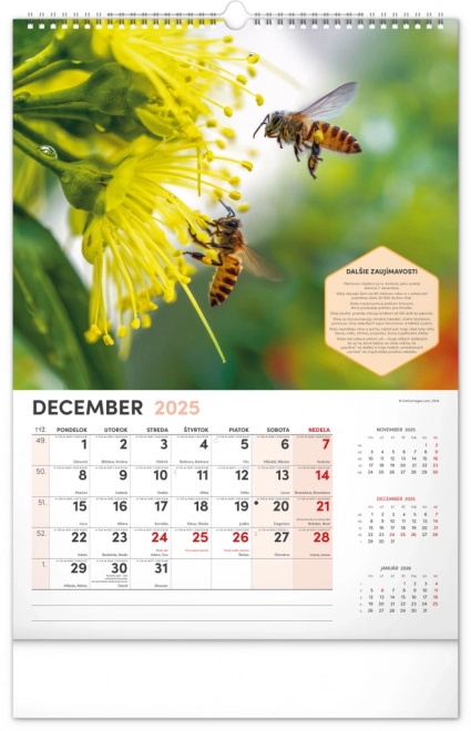 Calendrier mural NOTIQUE Apiculture 2025, 33 x 46 cm