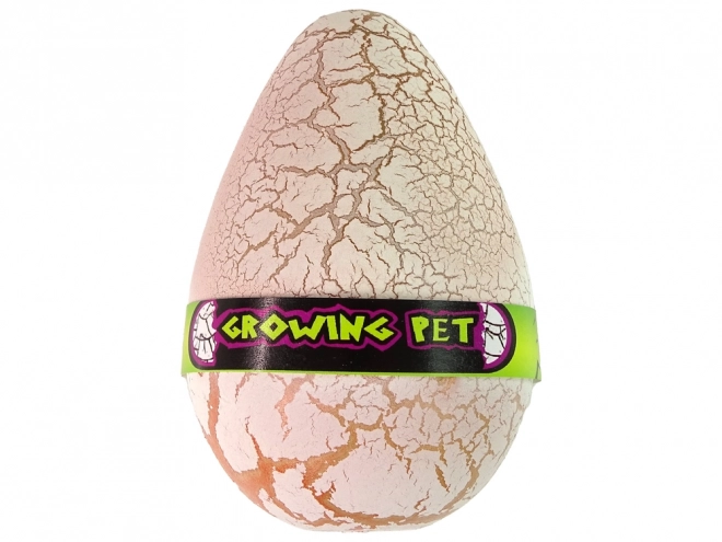Œuf de dinosaure en croissance 12 cm