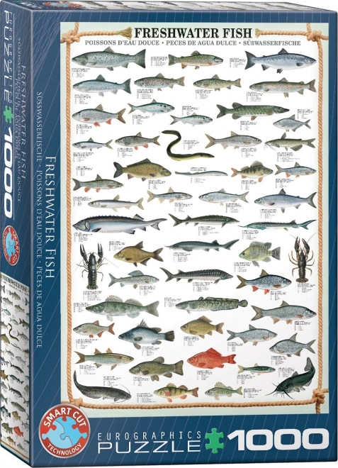 EUROGRAPHICS Puzzle Poissons d'eau douce 1000 pièces