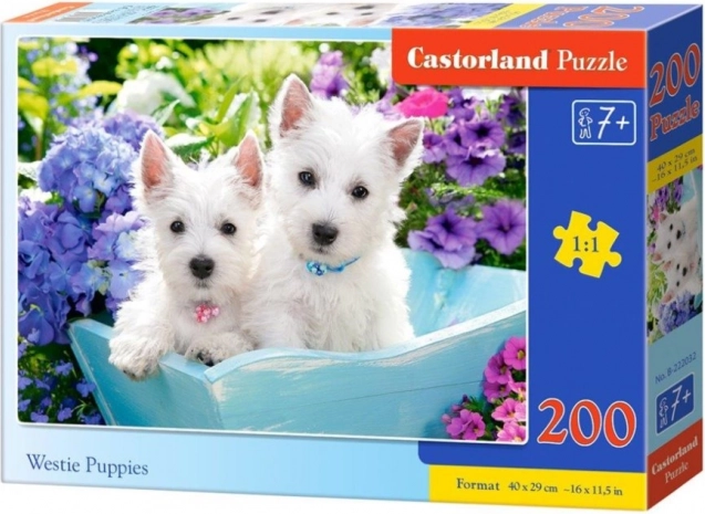 Puzzle 200 pièces – chiots westie