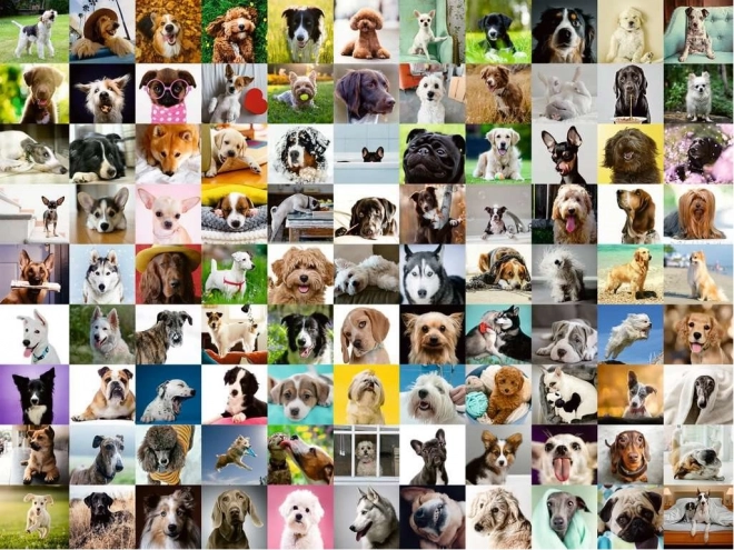 RAVENSBURGER Puzzle 99 adorables chiens XL 750 pièces