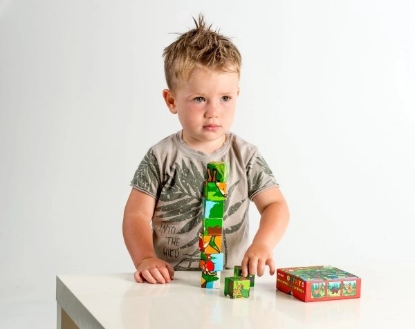 Cubes Kubus Mes Premiers Animaux Bois