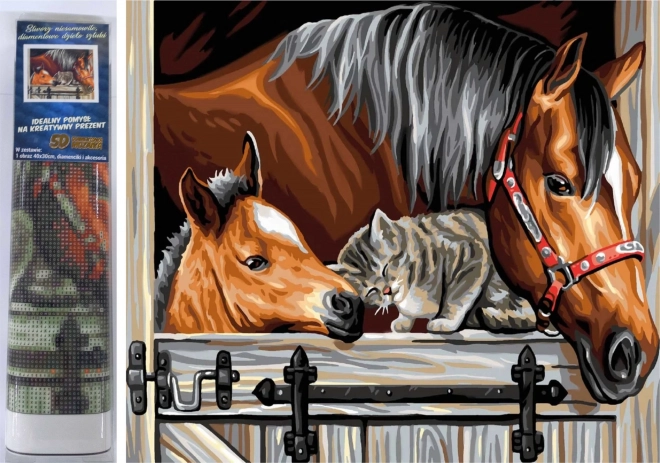 Kit de peinture au diamant - chevaux avec chat