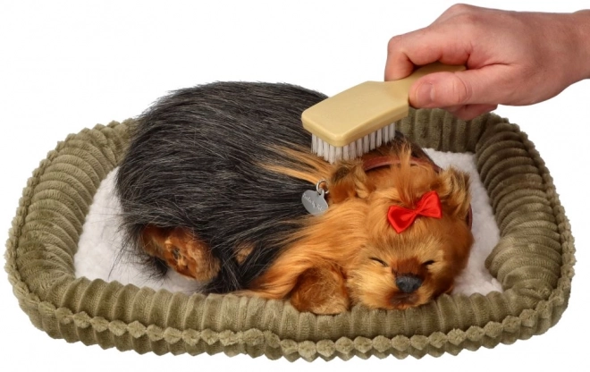 Perfektnd Petzzz Chiot York Aboyant