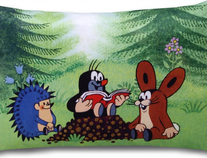 Coussin Krtek lecteurs 45x30