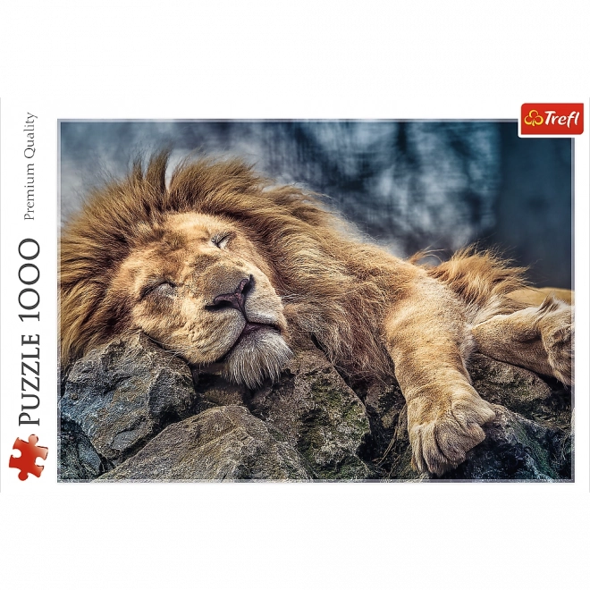 Puzzle Lion Endormi 1000 pièces dans une boîte 40x27x6cm