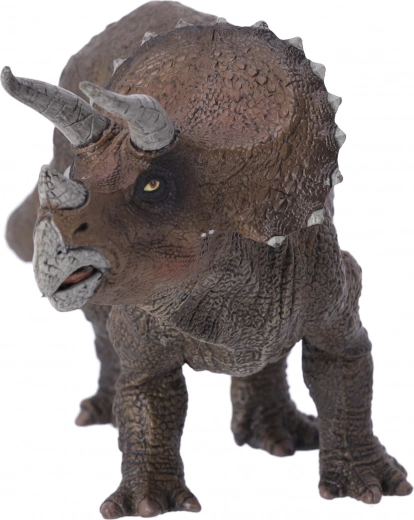 Parfait pour tous les âges