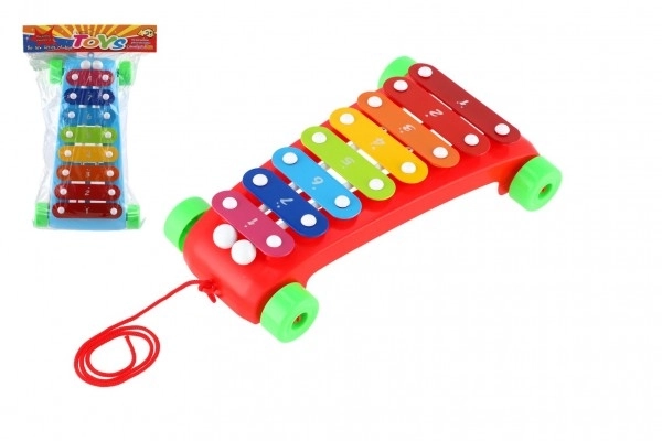 Xylophone plastique/métal 24cm avec baguettes 2 couleurs en sachet 19x31x6cm