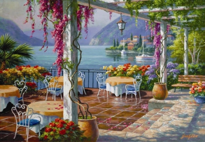 Puzzle Terrasse avec glycines 500 pièces