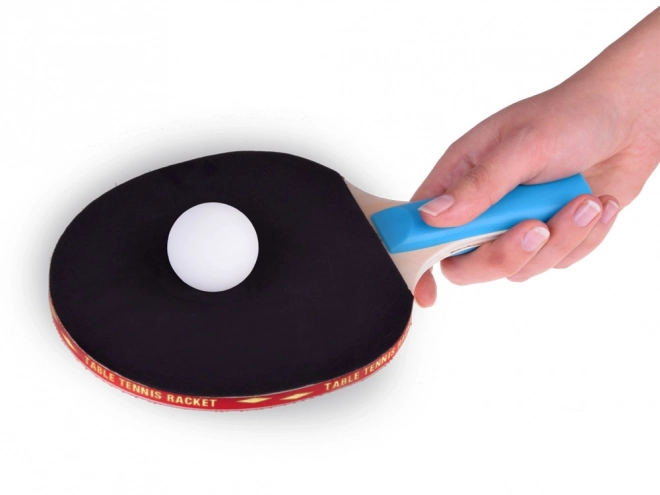 Raquettes de ping-pong en bois avec balles