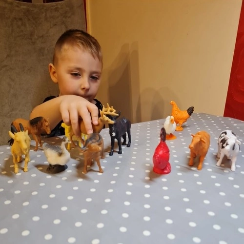 Animaux de la ferme - ensemble de 12 figurines
