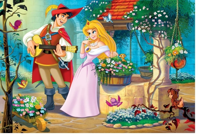 Eurographics puzzle Chanson pour une princesse 100 pièces