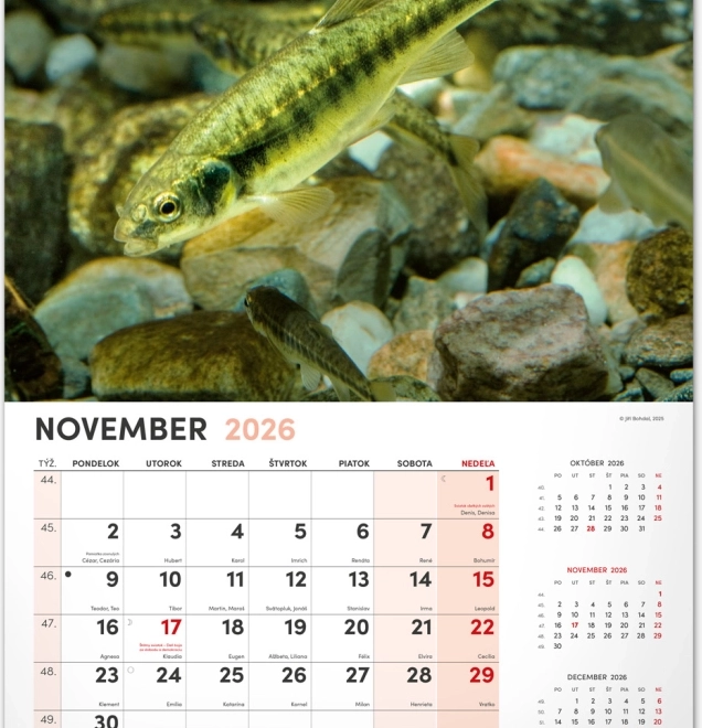 Calendrier mural Pêcheur 2026