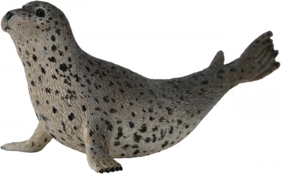 Collecta phoque du Pacifique figurine