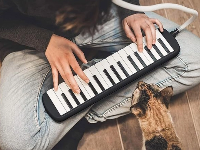 Mélodica avec clavier et étui