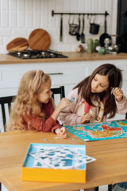 Jeu magnétique Carte du Monde