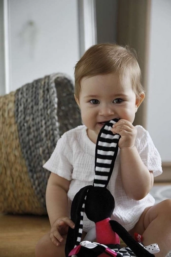 Différentes textures et éléments bruissants