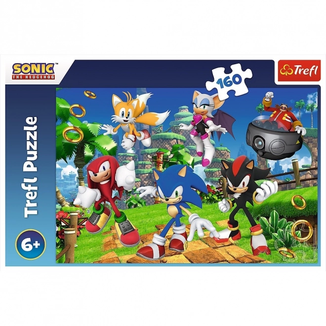 Puzzle Sonic et amis 160 pièces