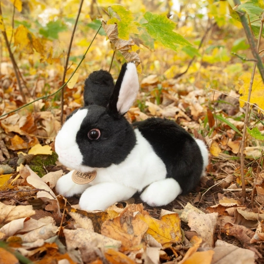 Peluche douce et moelleuse
