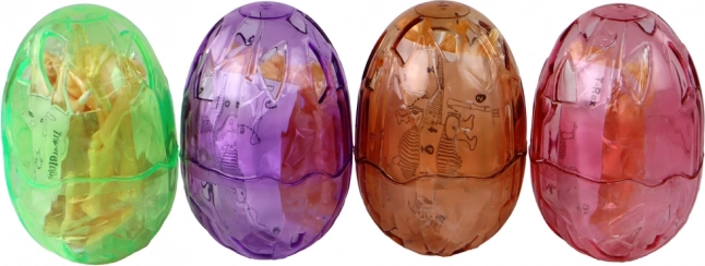 Œuf transparent en 4 couleurs