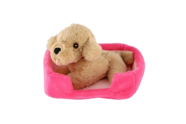 Petit animal chien dans son panier peluche 4 couleurs 22x24cm 24m+