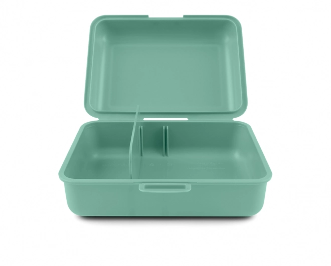 Boîte à déjeuner verte
