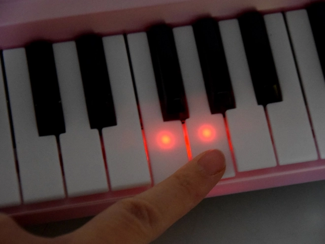 Orgues à clavier avec touches lumineuses IN0151